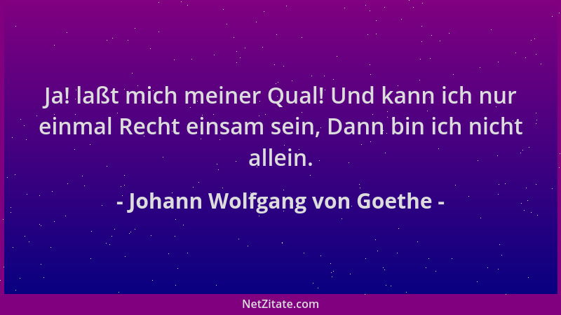 Johann Wolfgang von Goethe - Ja! laßt mich meiner Qual! Und kann ich nur einmal Recht einsam sein, Dann bin ich nicht allei...