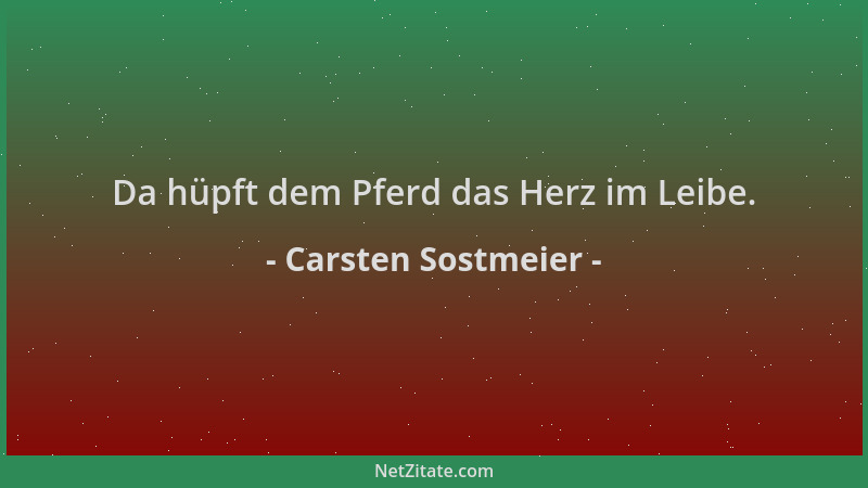 Carsten Sostmeier - Da hüpft dem Pferd das Herz im Leibe....