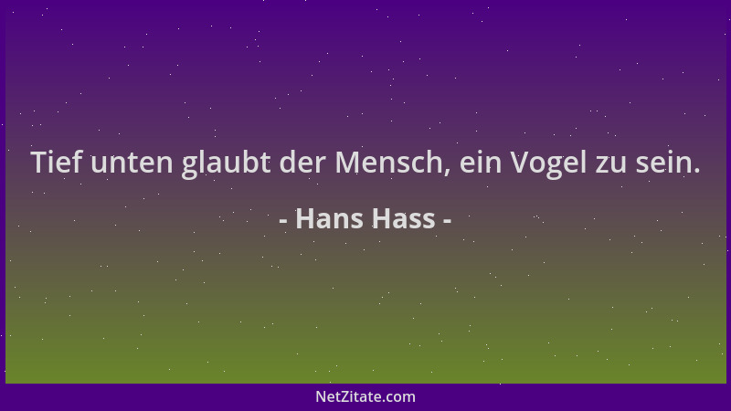 Hans Hass - Tief unten glaubt der Mensch, ein Vogel zu sein....