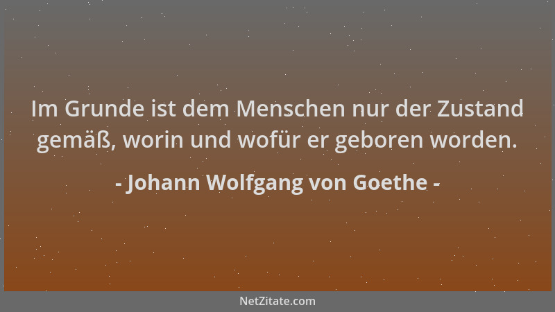 Johann Wolfgang von Goethe - Im Grunde ist dem Menschen nur der Zustand gemäß, worin und wofür er geboren worden....