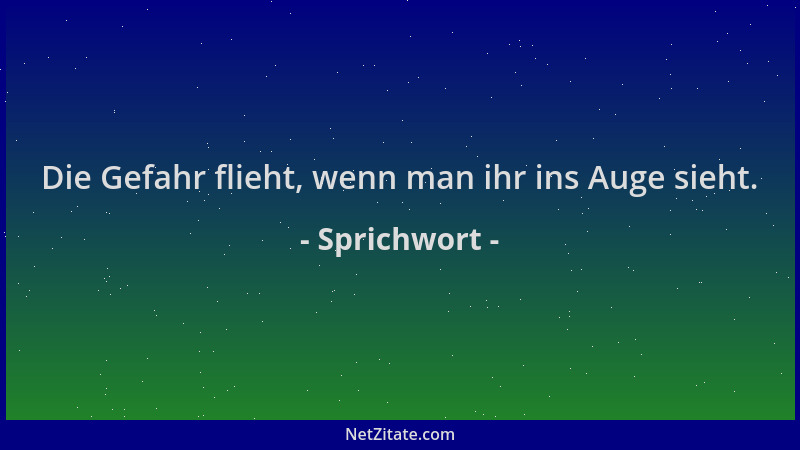 Sprichwort - Die Gefahr flieht, wenn man ihr ins Auge sieht....