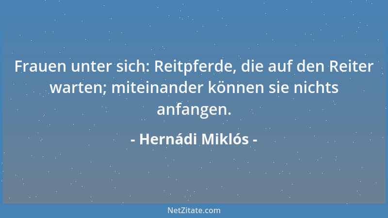 Hernádi Miklós - Frauen unter sich: Reitpferde, die auf den Reiter warten; miteinander können sie nichts anfangen....
