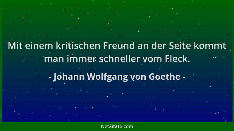 Johann Wolfgang von Goethe - Mit einem kritischen Freund an der Seite kommt man immer schneller vom Fleck....