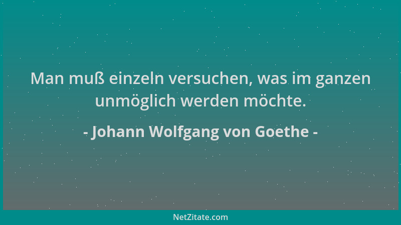 Johann Wolfgang von Goethe - Man muß einzeln versuchen, was im ganzen unmöglich werden möchte....