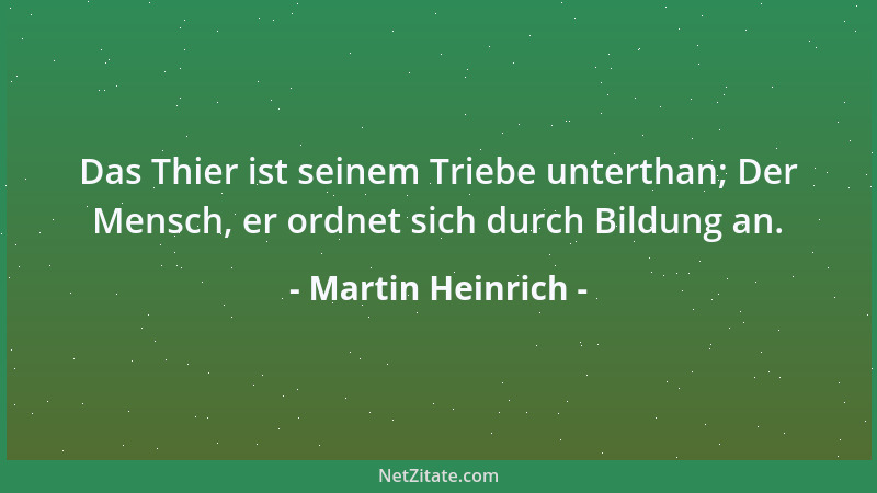 Martin Heinrich - Viele suchen den Mangel tiefer, geistiger Bildung durch eine Art Geheimnistuerei zu verdecken....