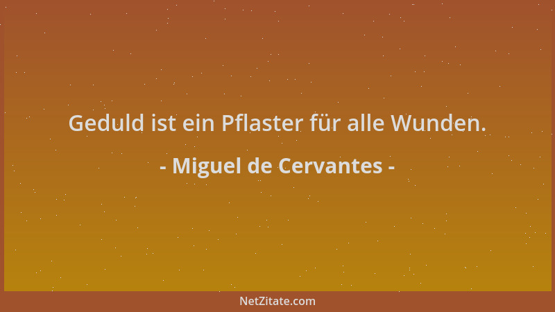 Miguel de Cervantes - Geduld ist ein Pflaster für alle Wunden....