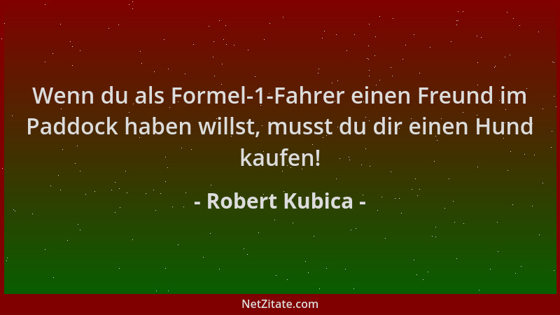Robert Kubica - Wenn du als Formel-1-Fahrer einen Freund im Paddock haben willst, musst du dir einen Hund kaufen!...