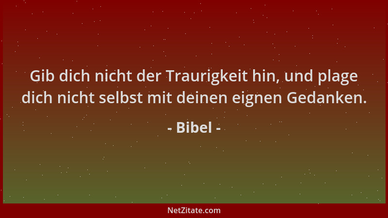 Bibel - Gib dich nicht der Traurigkeit hin, und plage dich nicht selbst mit deinen eignen Gedanken....