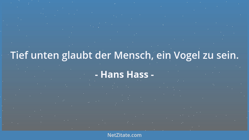 Hans Hass - Tief unten glaubt der Mensch, ein Vogel zu sein....