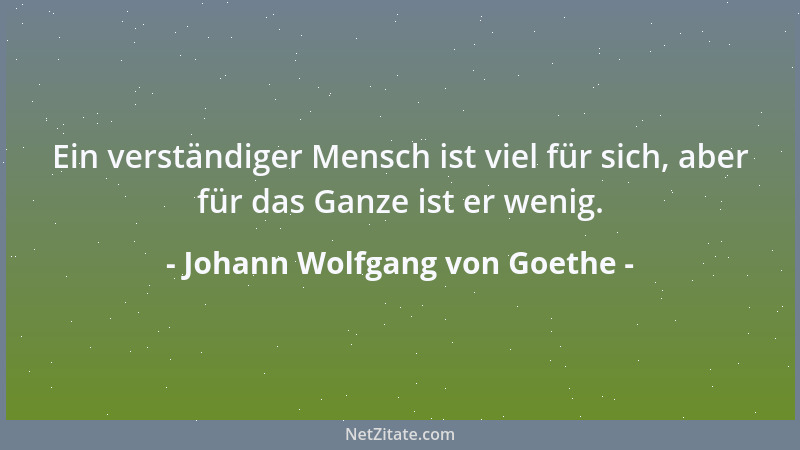 Johann Wolfgang von Goethe - Und ins Geschehen fügt sich jedermann....