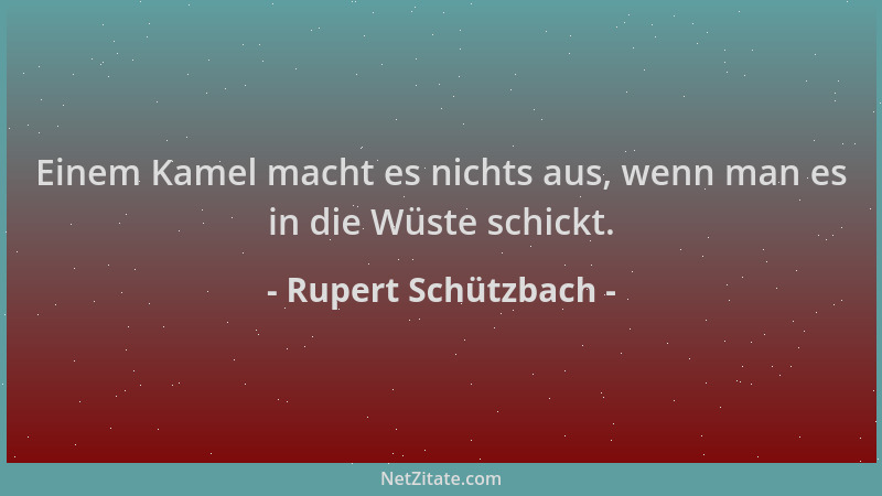 Rupert Schützbach - Einem Kamel macht es nichts aus, wenn man es in die Wüste schickt....