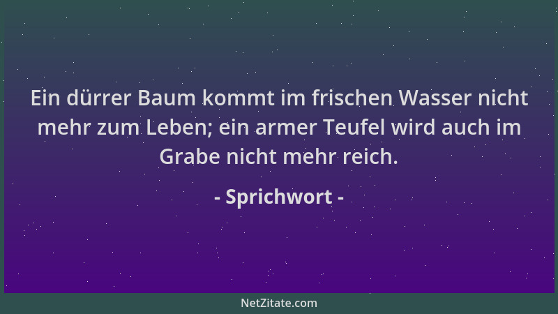 Sprichwort - Ein dürrer Baum kommt im frischen Wasser nicht mehr zum Leben; ein armer Teufel wird auch im Grabe nicht mehr...