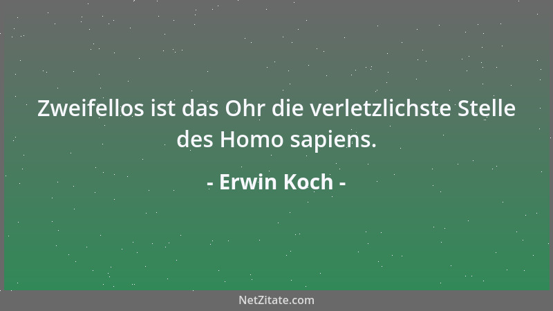 Erwin Koch - Ich liebe die Fehler der anderen, die meine eigenen passabler machen....
