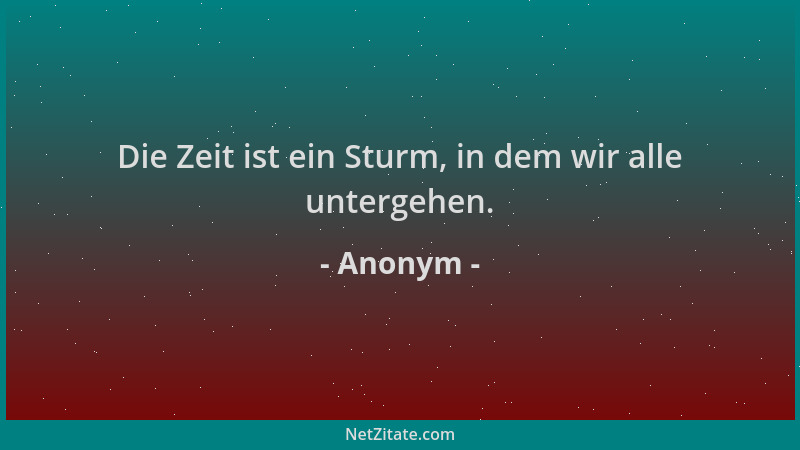 Anonym - Die Zeit ist ein Sturm, in dem wir alle untergehen....
