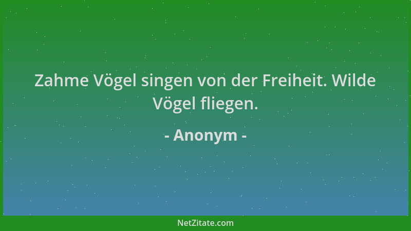Anonym - Zahme Vögel singen von der Freiheit. Wilde Vögel fliegen....