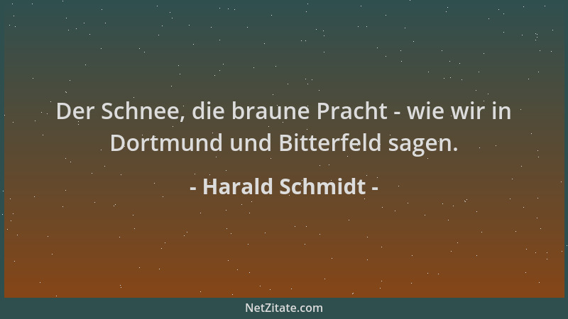 Harald Schmidt - Der Schnee, die braune Pracht - wie wir in Dortmund und Bitterfeld sagen....