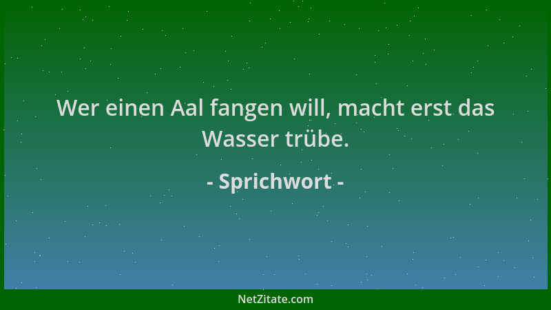 Sprichwort - Wer einen Aal fangen will, macht erst das Wasser trübe....