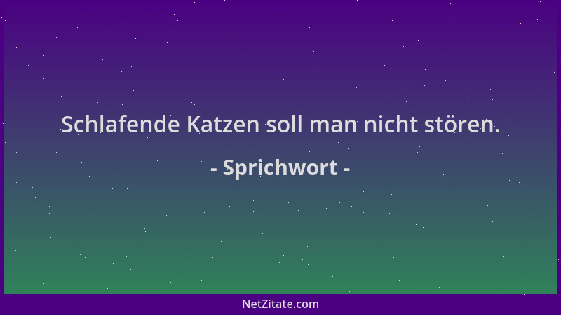 Sprichwort - Schlafende Katzen soll man nicht stören....