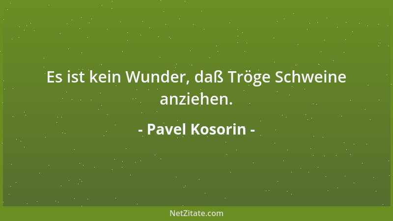 Pavel Kosorin - Es ist kein Wunder, daß Tröge Schweine anziehen....