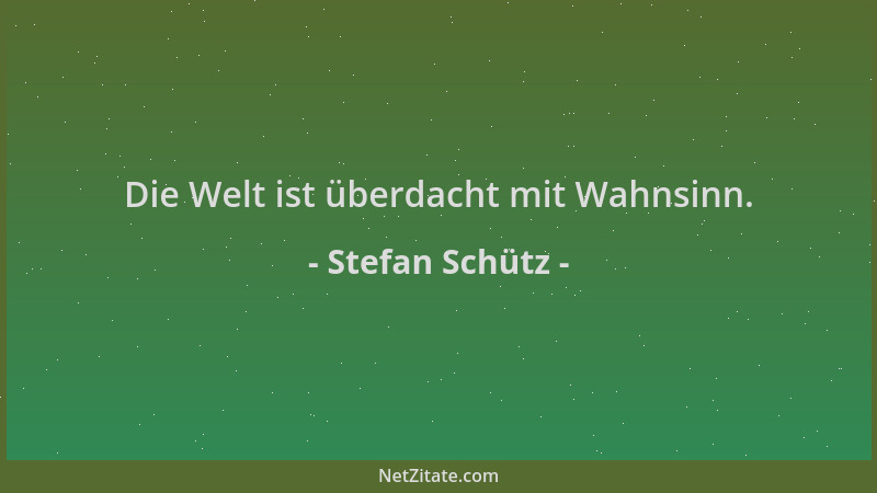 Stefan Schütz - Die Welt ist überdacht mit Wahnsinn....
