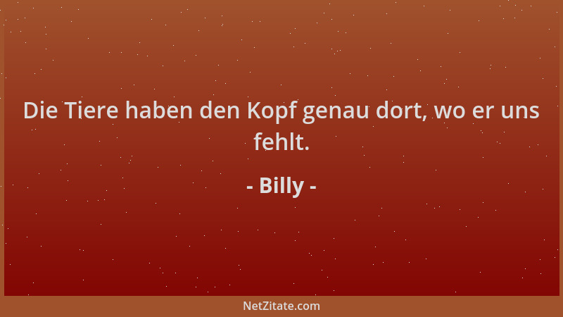 Billy - Die Tiere haben den Kopf genau dort, wo er uns fehlt....
