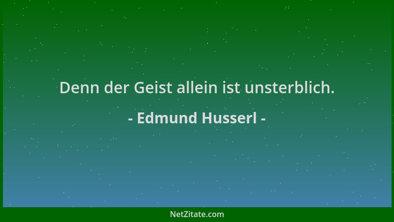 Edmund Husserl - Denn der Geist allein ist unsterblich....