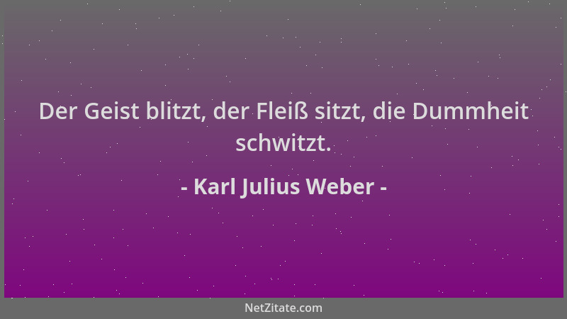 Karl Julius Weber - Der Geist blitzt, der Fleiß sitzt, die Dummheit schwitzt....