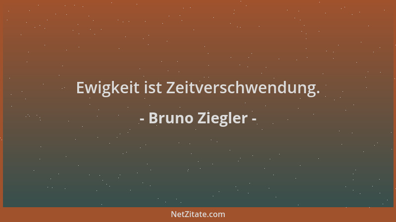 Bruno Ziegler - Ewigkeit ist Zeitverschwendung....
