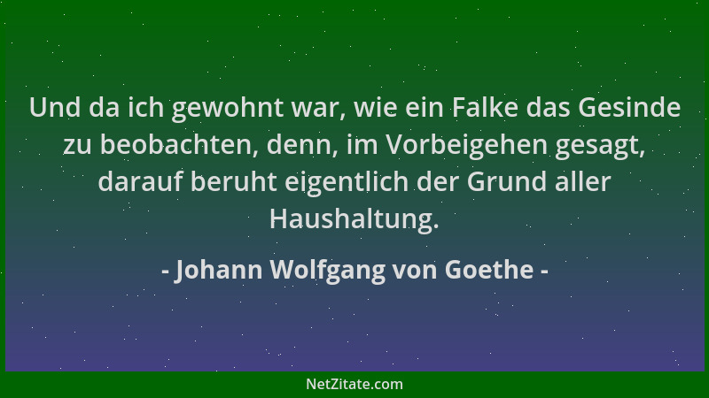 Johann Wolfgang von Goethe - Und da ich gewohnt war, wie ein Falke das Gesinde zu beobachten, denn, im Vorbeigehen gesagt,...