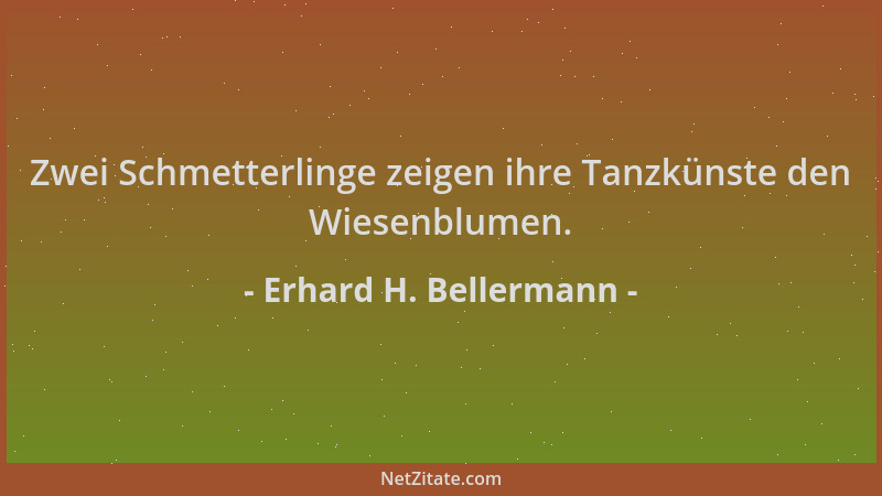 Erhard H. Bellermann - Zwei Schmetterlinge zeigen ihre Tanzkünste den Wiesenblumen....
