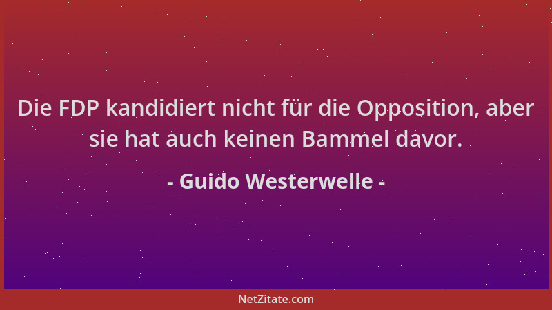 Guido Westerwelle - Die FDP kandidiert nicht für die Opposition, aber sie hat auch keinen Bammel davor....