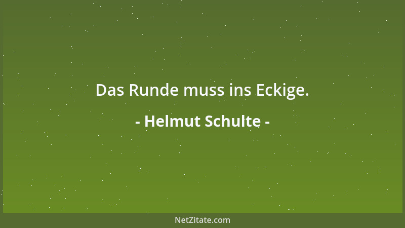 Helmut Schulte - Das Runde muss ins Eckige....