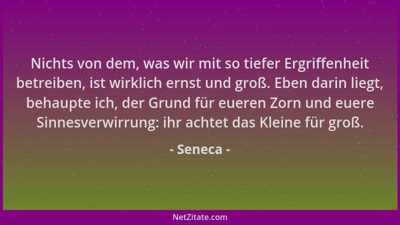 Seneca - Nichts von dem, was wir mit so tiefer Ergriffenheit betreiben, ist wirklich ernst und groß. Eben darin liegt, beha...