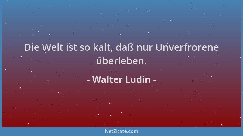 Walter Ludin - Die Welt ist so kalt, daß nur Unverfrorene überleben....