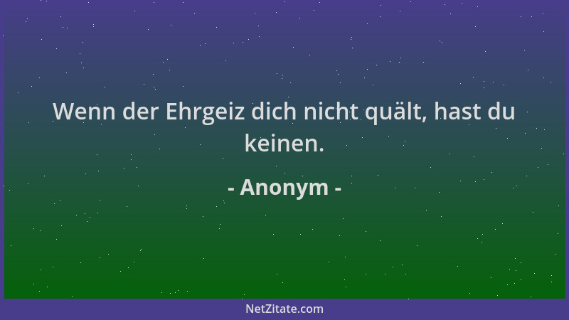Anonym - Wenn der Ehrgeiz dich nicht quält, hast du keinen....