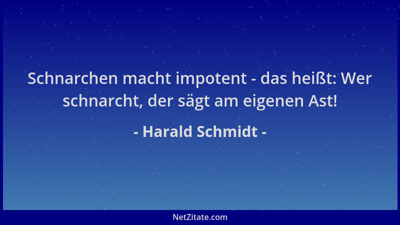 Harald Schmidt - Schnarchen macht impotent - das heißt: Wer schnarcht, der sägt am eigenen Ast!...