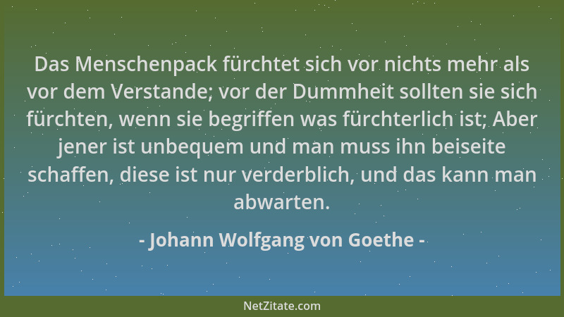 Johann Wolfgang von Goethe - Das Menschenpack fürchtet sich vor nichts mehr als vor dem Verstande; vor der Dummheit sollten...