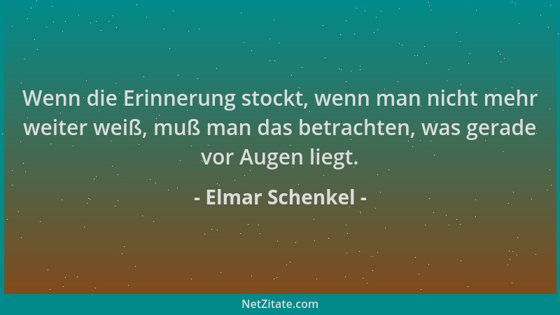 Elmar Schenkel - Wenn die Erinnerung stockt, wenn man nicht mehr weiter weiß, muß man das betrachten, was gerade vor Augen...