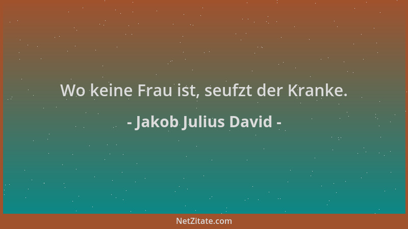 Jakob Julius David - Wo keine Frau ist, seufzt der Kranke....