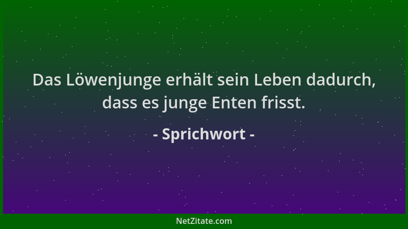 Sprichwort - Das Löwenjunge erhält sein Leben dadurch, dass es junge Enten frisst....