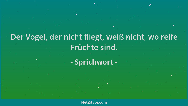 Sprichwort - Der Vogel, der nicht fliegt, weiß nicht, wo reife Früchte sind....