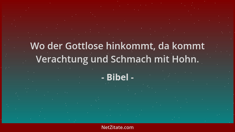 Bibel - Wo der Gottlose hinkommt, da kommt Verachtung und Schmach mit Hohn....