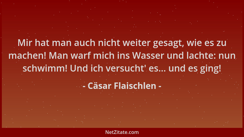 Cäsar Flaischlen - Mir hat man auch nicht weiter gesagt, wie es zu machen! Man warf mich ins Wasser und lachte: nun schwimm...
