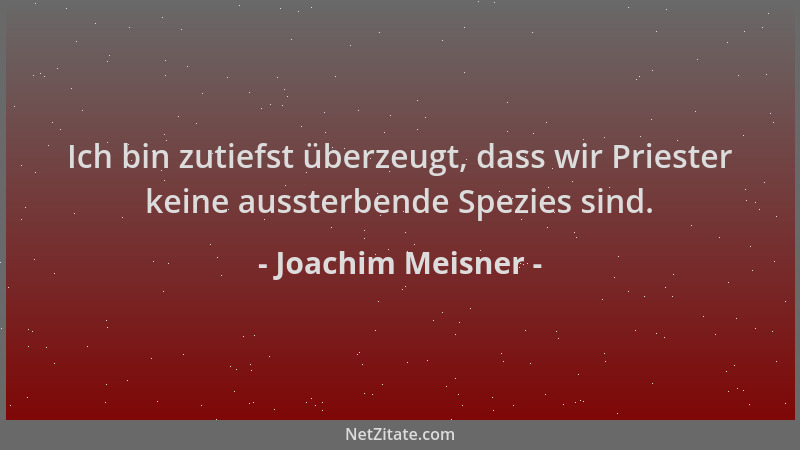 Joachim Meisner - Ich bin zutiefst überzeugt, dass wir Priester keine aussterbende Spezies sind....