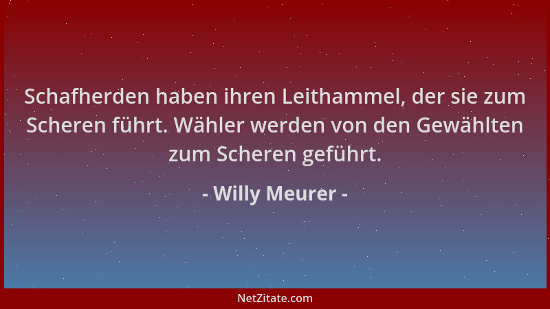 Willy Meurer - Schafherden haben ihren Leithammel, der sie zum Scheren führt. Wähler werden von den Gewählten zum Scheren g...