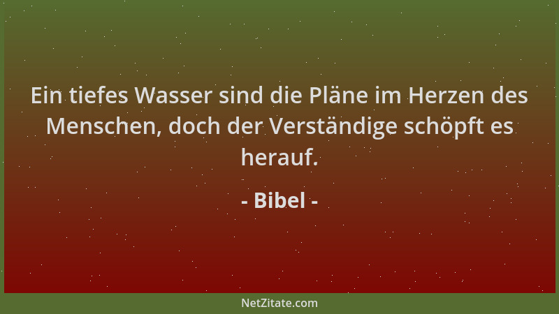 Bibel - Ein tiefes Wasser sind die Pläne im Herzen des Menschen, doch der Verständige schöpft es herauf....