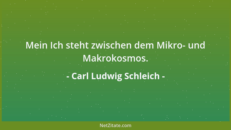 Carl Ludwig Schleich - Ein wahrhaft guter Mensch kann leicht die Zivilisation, nie die Kultur beleidigen....