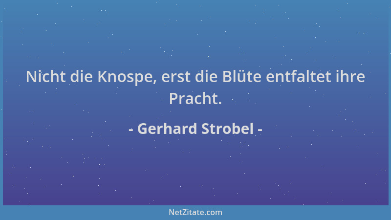 Gerhard Strobel - Nicht die Knospe, erst die Blüte entfaltet ihre Pracht....
