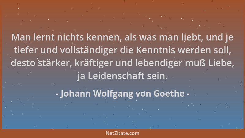 Johann Wolfgang von Goethe - Man lernt nichts kennen, als was man liebt, und je tiefer und vollständiger die Kenntnis werde...