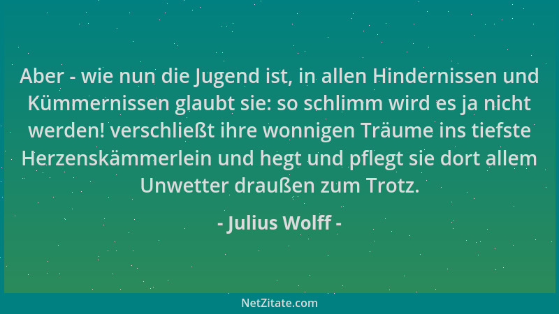 Julius Wolff - Aber - wie nun die Jugend ist, in allen Hindernissen und Kümmernissen glaubt sie: so schlimm wird es ja nich...